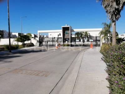 ACQUA 868,, Ahome, סינלואה 81271, מקסיקו