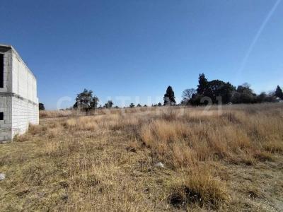 5 DE JULIO SN,, La Magdalena Tlaltelulco, Tlaxcala 90833, Mexique