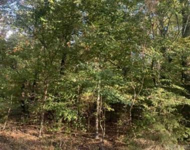 00 Lake Norrell (5.65 acres) Road, Alexander, Arkansas 72002, Estados Unidos