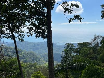 Punta Mala Puerto Cortés Osa, Puntarenas 60501, 코스타리카