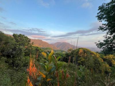 Punta Mala Puerto Cortés Osa, Puntarenas 60501, 코스타리카