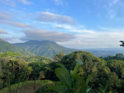 Punta Mala Puerto Cortés Osa, Puntarenas 60501, 코스타리카
