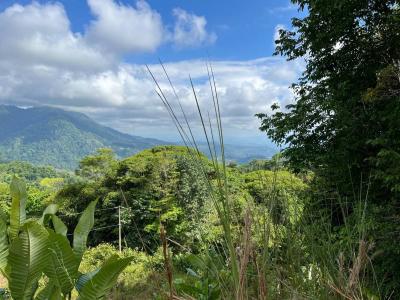Punta Mala Puerto Cortés Osa, Puntarenas 60501, 코스타리카