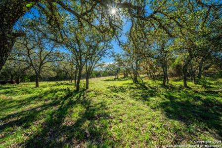 342 Mealy Sage Rd, Harper, Texas 78631, USA