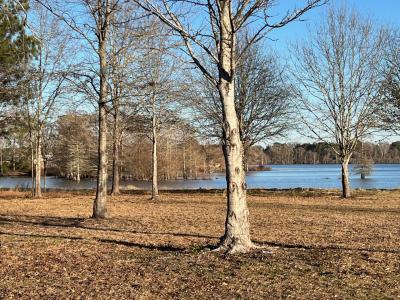 0 Nantaucket Point road, Zwolle, Louisiana 71486, Amerika Birleşik Devletleri