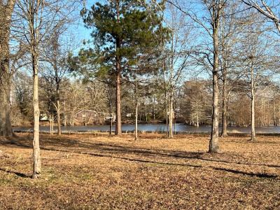 0 Nantaucket Point road, Zwolle, Louisiana 71486, Amerika Birleşik Devletleri