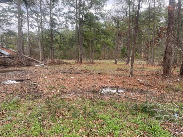 OLD HWY 1 None, Lena, Louisiana 71447, Stati Uniti