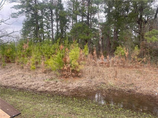 OLD HWY 1 None, Lena, Louisiana 71447, Stati Uniti