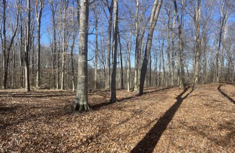 Lots 84-86 Meadows Loop Overlook dr, Russell Springs, Kentucky 42642, Amerika Birleşik Devletleri