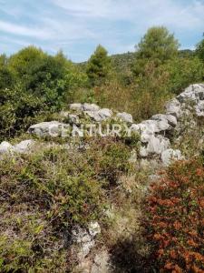 Marina, Gustirna, Marina, Splitsko-dalmatinska Županija 21222, Croatia