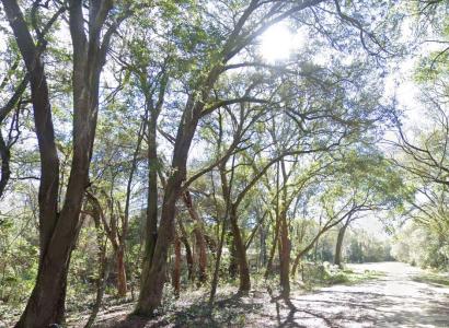 Lots 6 & 7 Gladys Avenue, Interlachen, 佛羅里達州 32148, 美國