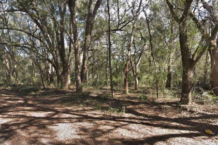 Lots 6 & 7 Gladys Avenue, Interlachen, フロリダ 32148, アメリカ合衆国