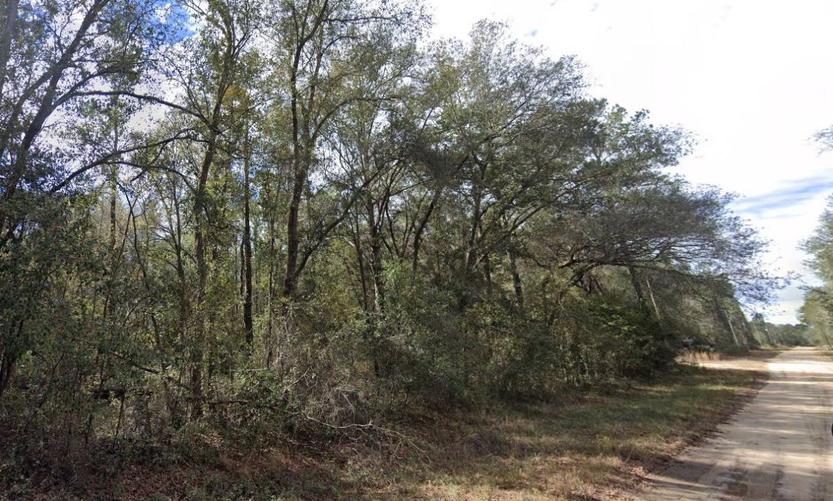 141 Sigman Street, Florahome, Florida 32140, Estados Unidos
