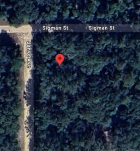 141 Sigman Street, Florahome, Florida 32140, Estados Unidos