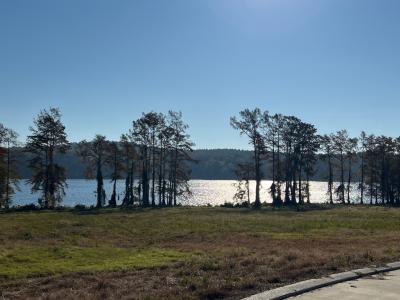 Lot 18 Queen of the Bend Queen's Road, Many, Louisiana 71449, USA
