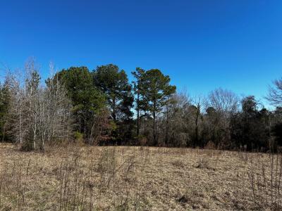 R14353 CR 167, Long Branch, Texas 75669, USA