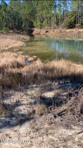 0 Bayou Lacroxi Road, Bay Saint Louis, Mississippi 39520, USA
