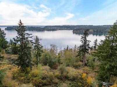 12406 Cole Point Drive, Anderson Island, Washington 98303
