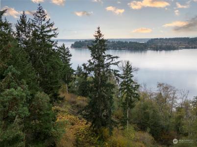 12406 Cole Point Drive, Anderson Island, Washington 98303