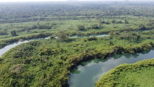 Moho River, Toledo 00001, Belice