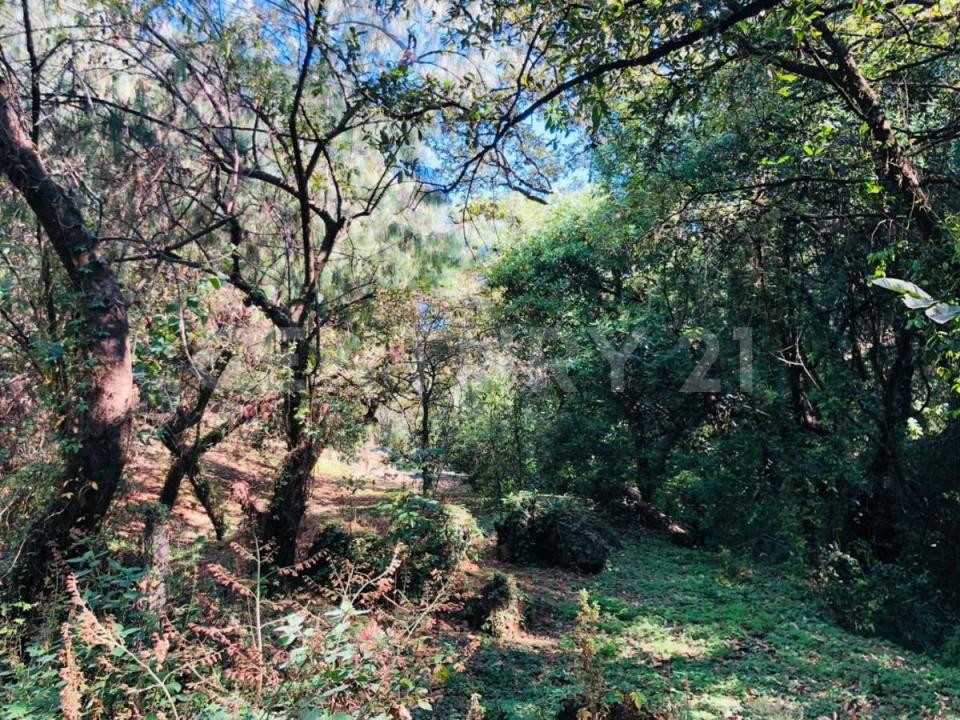 Tepoztlan, Morelos 62523, Mexique