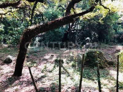 Tepoztlan, Morelos 62523, Mexique