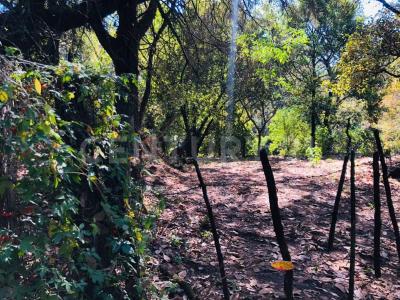 Tepoztlan, Morelos 62523, Mexique