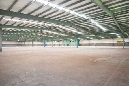 Tijuana, Baja California 22000, Mexico