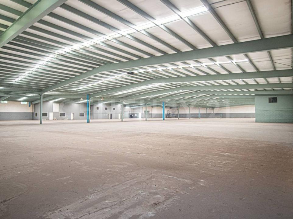 Tijuana, 下加利福尼亞州 22000, 墨西哥