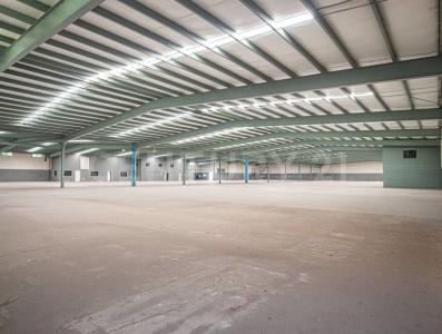 Tijuana, 下加利福尼亞州 22000, 墨西哥