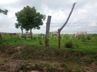 Agua Dulce, Veracruz 96630, Mexico