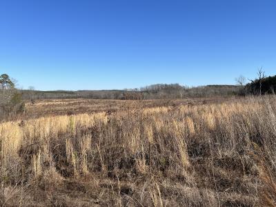 937 White Fall Rd, Gretna, Virginia 24577, Estados Unidos