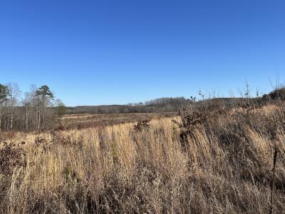 937 White Fall Rd, Gretna, Virginia 24577, Estados Unidos