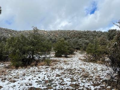 XXX Xyz Ranch Road, Silver City, NM 88061, USA