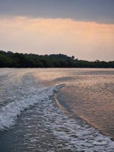Moho River, Toledo 00001, Belice