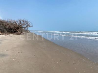 Ejido del Vergel ,, Pueblo Viejo, Veracruz 92030, México