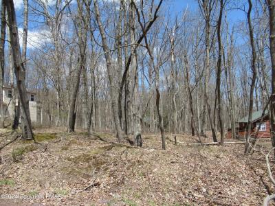 Lot#019 Holiday Drive, White Haven, Пенсильвания 18661, Соединенные Штаты