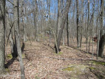Lot#019 Holiday Drive, White Haven, Пенсильвания 18661, Соединенные Штаты