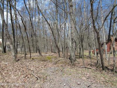 Lot#019 Holiday Drive, White Haven, Пенсильвания 18661, Соединенные Штаты