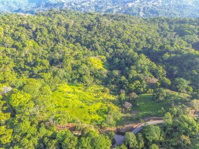 Dominical Osa, Puntarenas 00001, 哥斯達尼加