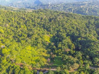 Dominical Osa, Puntarenas 00001, 哥斯達尼加