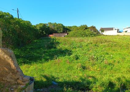 Torres Vedras, Lisbon 2560-051, Portugal
