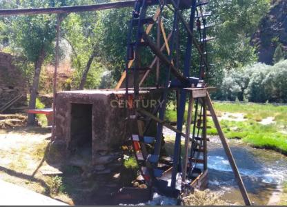 Mealhada, آويرو 3321-909, البرتغال