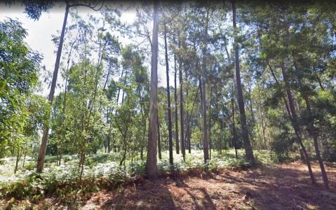 Espinho, 아베이루 0000-000, 포르투갈