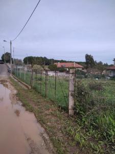 Abrantes, 圣塔伦 2200-227, 葡萄牙