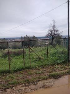 Abrantes, Santarém 2200-227, Portugal