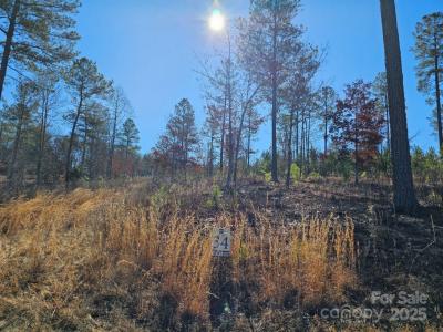 2195 Inlet Shore Road, Connelly Springs, Carolina Do Norte 28612, Estados Unidos