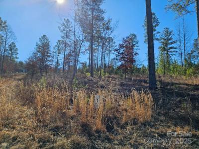 2195 Inlet Shore Road, Connelly Springs, Carolina Do Norte 28612, Estados Unidos
