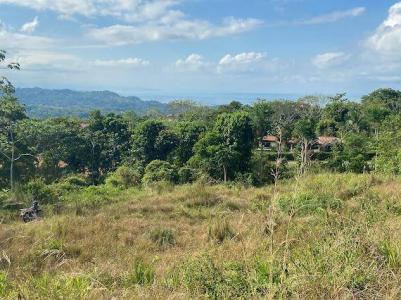 Ojochal Puerto Cortés Osa, Puntarenas 00001, コスタリカ