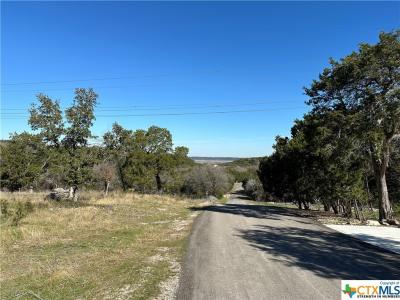 9860 Hodge Canyon Drive, Salado, Texas 76571